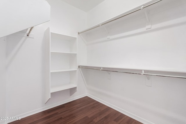 spacious closet with dark hardwood / wood-style flooring