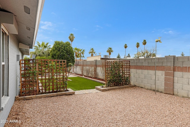 view of yard featuring a patio and a fenced backyard