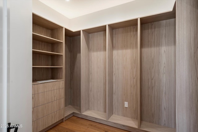 6202 E Larkspur Dr, Scottsdale, AZ 85254 - closet with a sauna / steam room