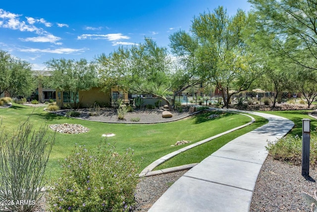 view of home's community with a yard