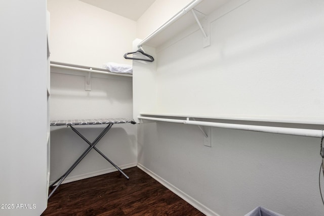 12371 W Hadley St, Avondale, AZ 85323 - spacious closet with wood finished floors