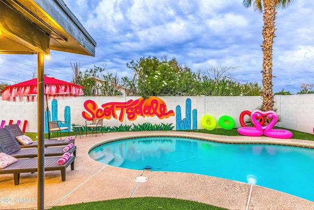 view of swimming pool