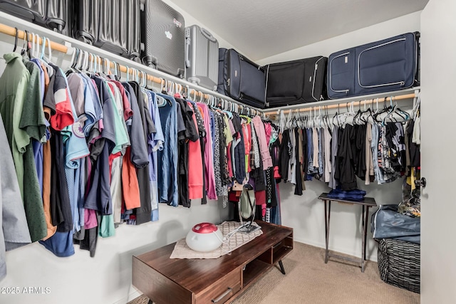 spacious closet featuring carpet