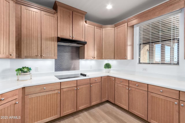 kitchen featuring light wood-type flooring, black electric stovetop, and backsplash