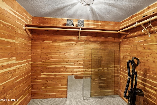 1868 Flicker Dr, Forest Lakes, AZ 85931 - walk in closet featuring carpet floors