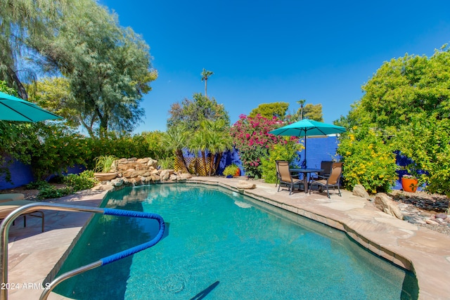 view of pool featuring a patio area