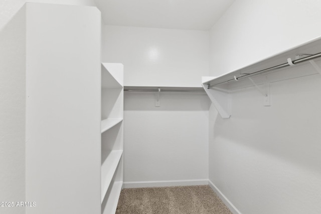 walk in closet featuring light carpet