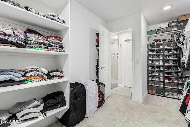 spacious closet with light carpet