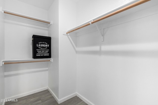 spacious closet with dark wood-type flooring