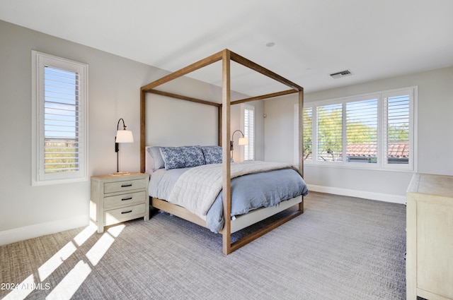 bedroom with carpet floors and multiple windows