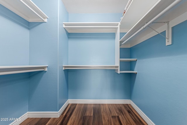 spacious closet featuring wood finished floors