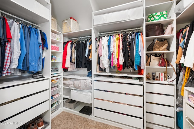 spacious closet with light colored carpet