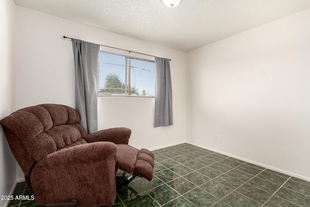 214 W June Cir, Mesa, AZ 85201 - living area with baseboards and a textured ceiling