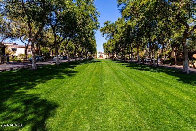 view of home's community with a yard