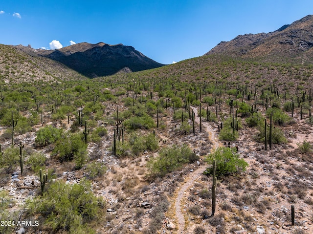 property view of mountains