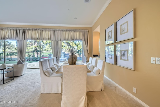 dining area featuring ornamental molding and carpet floors