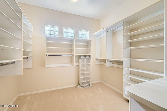 spacious closet with carpet