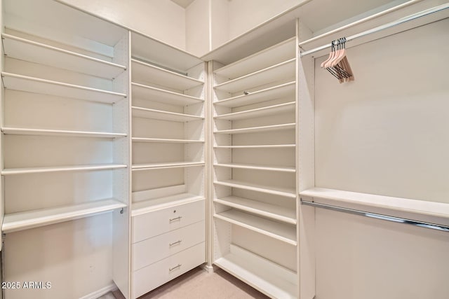 view of spacious closet