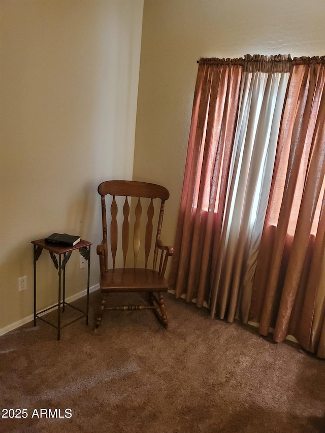 living area with carpet floors