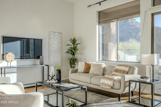 living area with plenty of natural light and wood finished floors