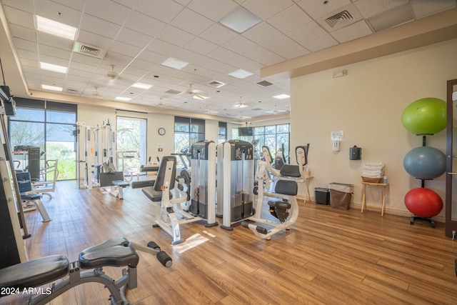 exercise room featuring a paneled ceiling and light wood-type flooring