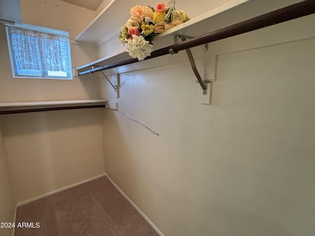 walk in closet with carpet
