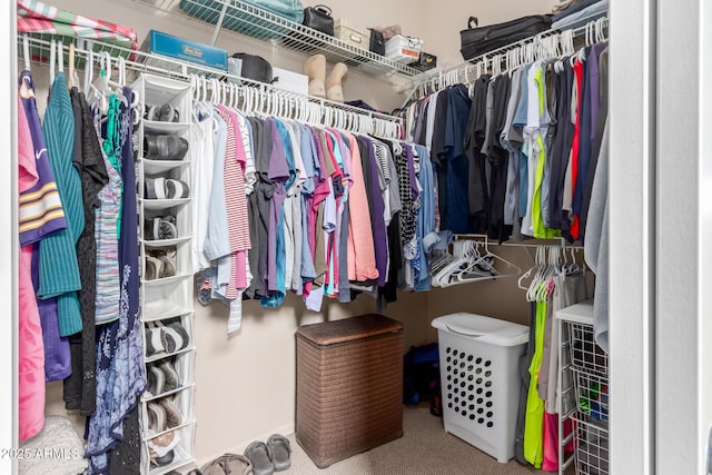 view of spacious closet