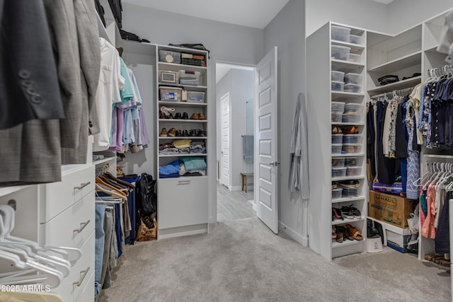walk in closet with carpet floors