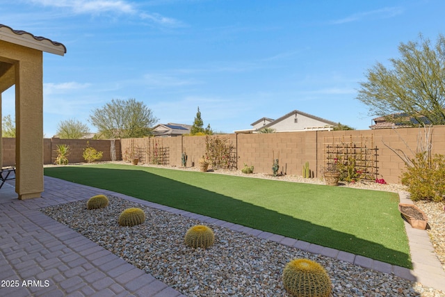view of yard with a patio and a fenced backyard