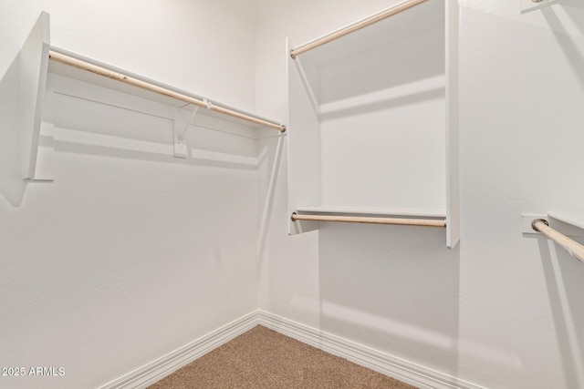 spacious closet featuring carpet floors