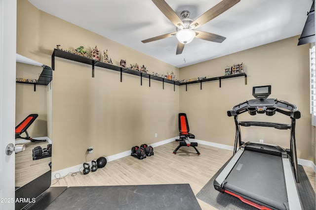 exercise area featuring ceiling fan and light wood-type flooring