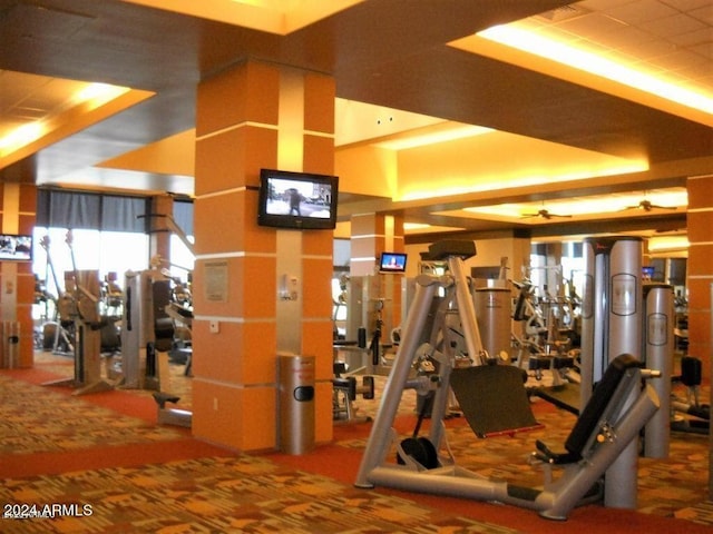 workout area featuring a tray ceiling and carpet flooring