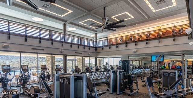 exercise room featuring ceiling fan