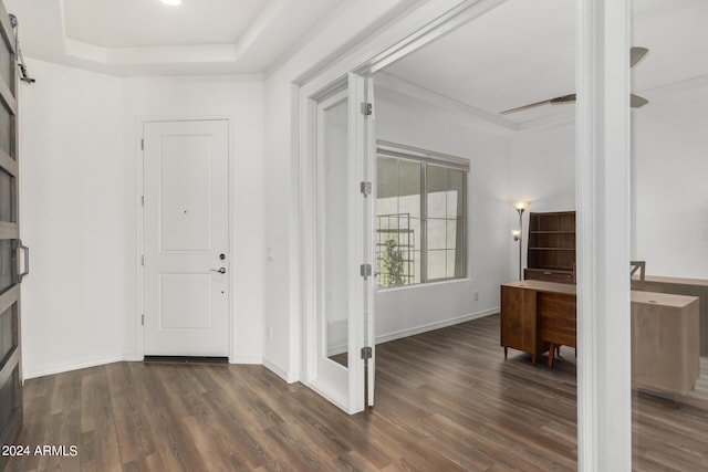 entryway featuring dark hardwood / wood-style flooring and a tray ceiling