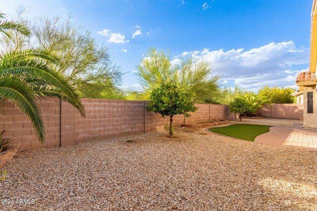 view of yard with a patio