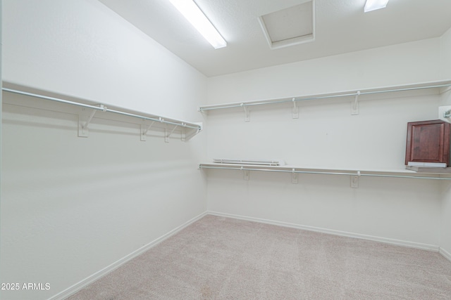 spacious closet featuring light carpet