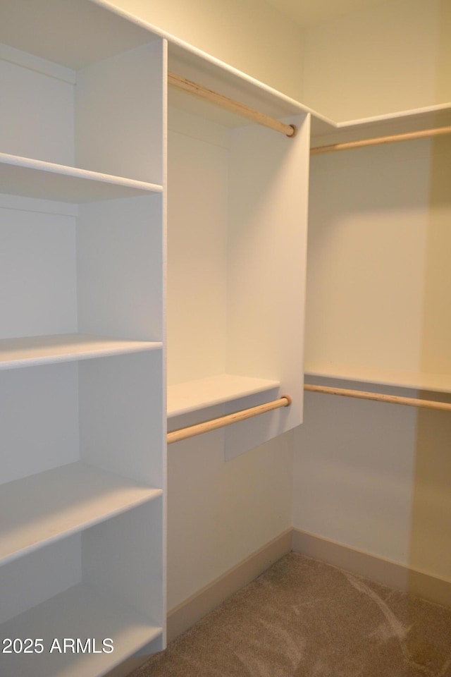 walk in closet featuring carpet