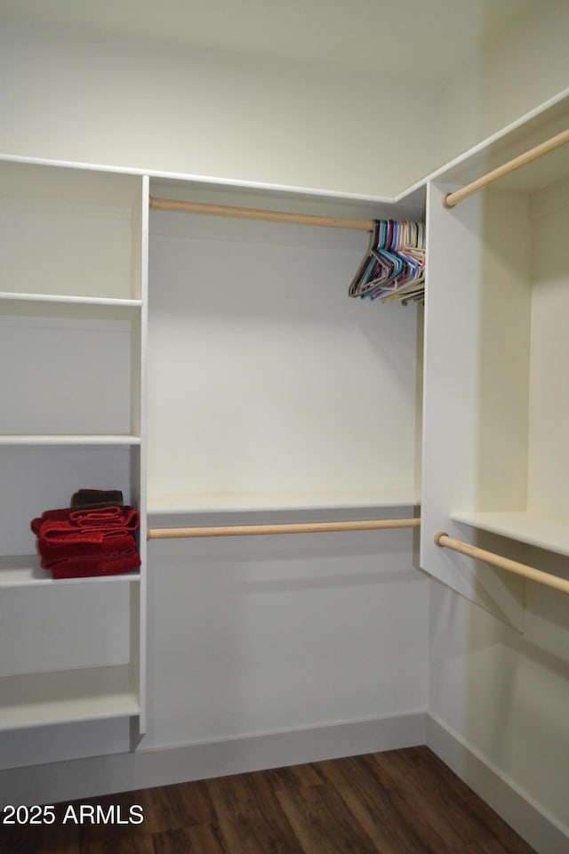 walk in closet featuring dark wood finished floors