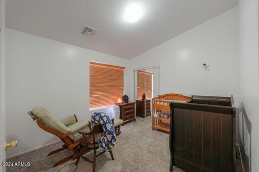 carpeted bedroom featuring lofted ceiling