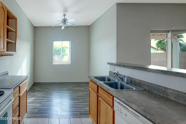 kitchen with white appliances, dark hardwood / wood-style floors, a wealth of natural light, and sink