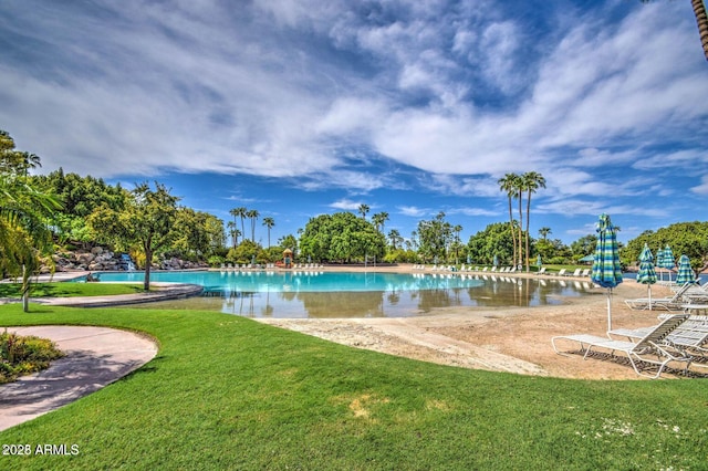 1010 N Osprey Ct, Gilbert, AZ 85234 - view of swimming pool with a yard