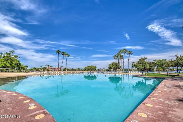 1010 N Osprey Ct, Gilbert, AZ 85234 - view of pool