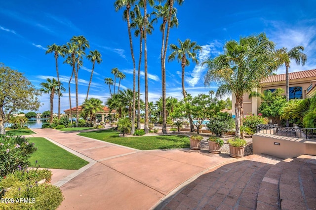 1010 N Osprey Ct, Gilbert, AZ 85234 - surrounding community with a lawn and a water view