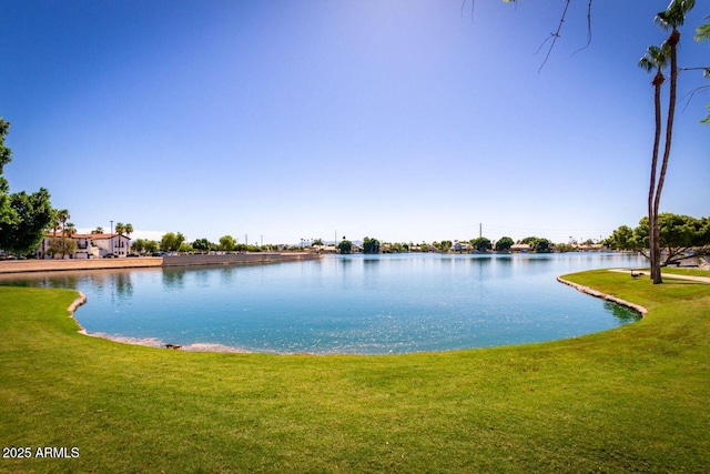 1010 N Osprey Ct, Gilbert, AZ 85234 - view of water feature