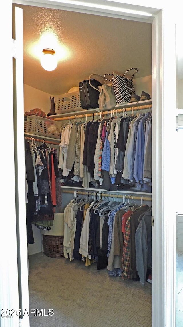 1010 N Osprey Ct, Gilbert, AZ 85234 - walk in closet with carpet flooring
