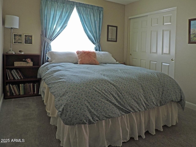1010 N Osprey Ct, Gilbert, AZ 85234 - carpeted bedroom with baseboards and a closet