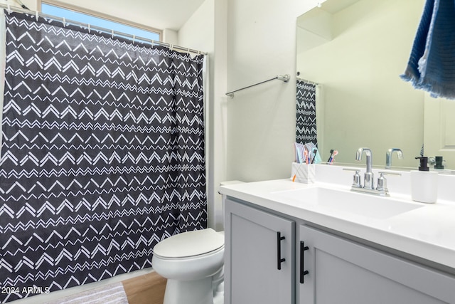 bathroom featuring vanity, toilet, and wood-type flooring