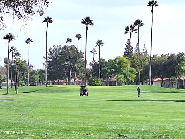 surrounding community featuring a yard