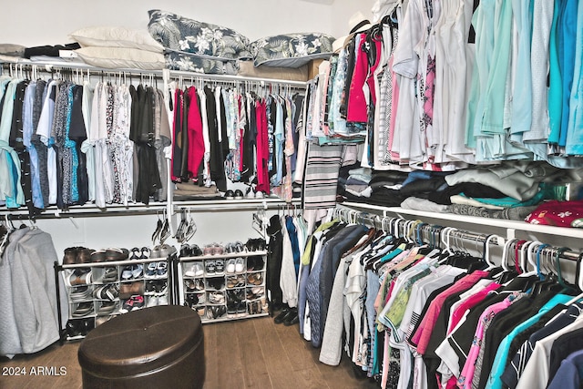 walk in closet featuring wood-type flooring