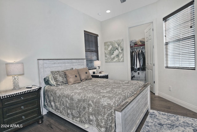 bedroom with a walk in closet, dark wood-type flooring, and a closet